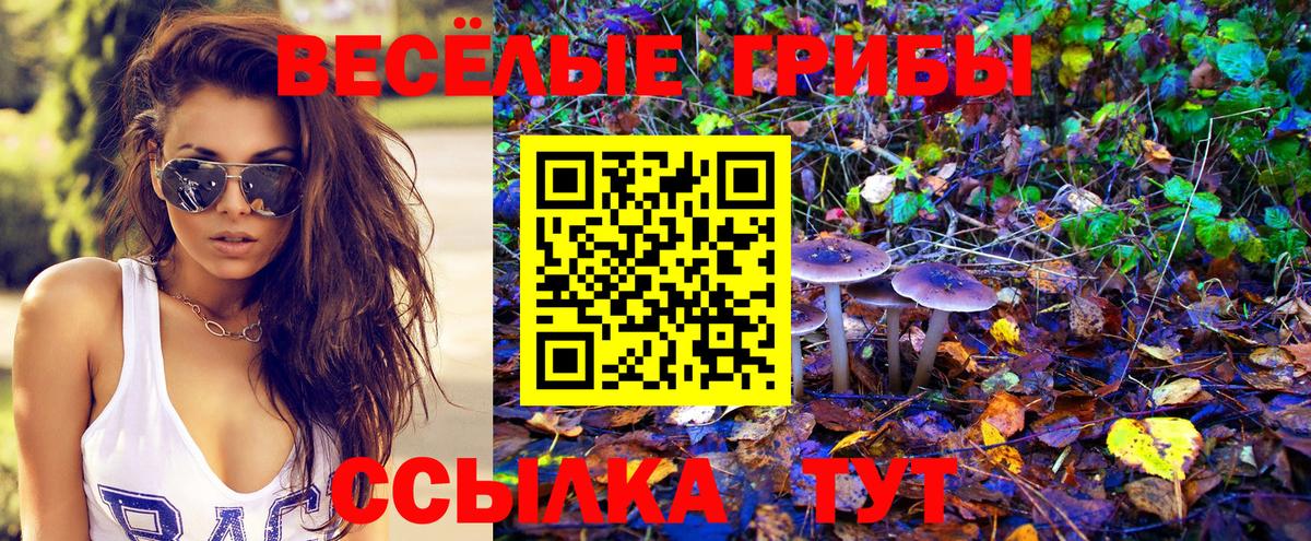 Псилоцибиновые грибы прущие грибы Сухой Лог
